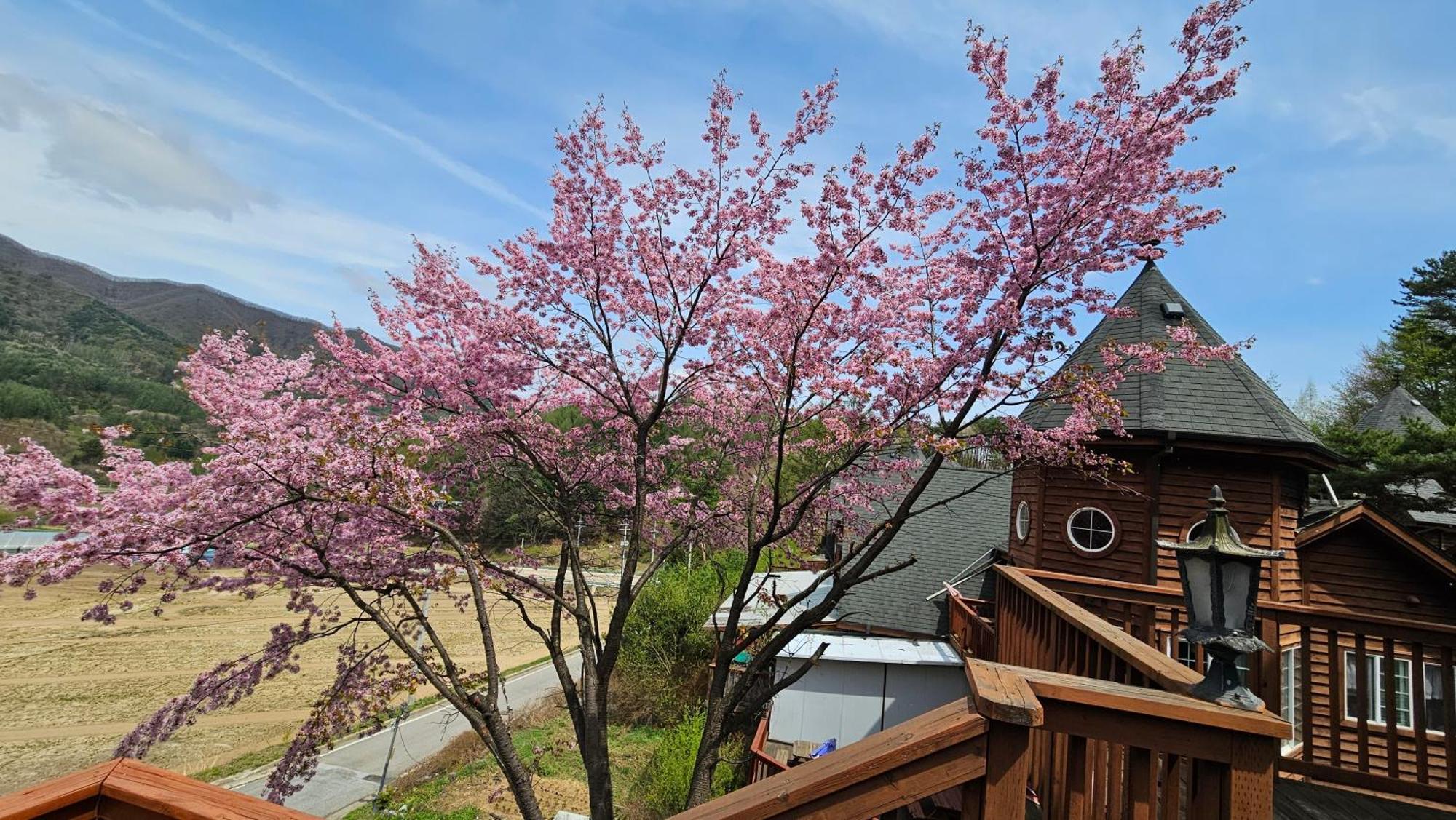 Elf Resort Hotel Phjongcshang Kültér fotó